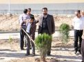 گزارش تصویری مراسم روز درخت کاری و تقدیر از نیروهای باغبانی دانشگاه